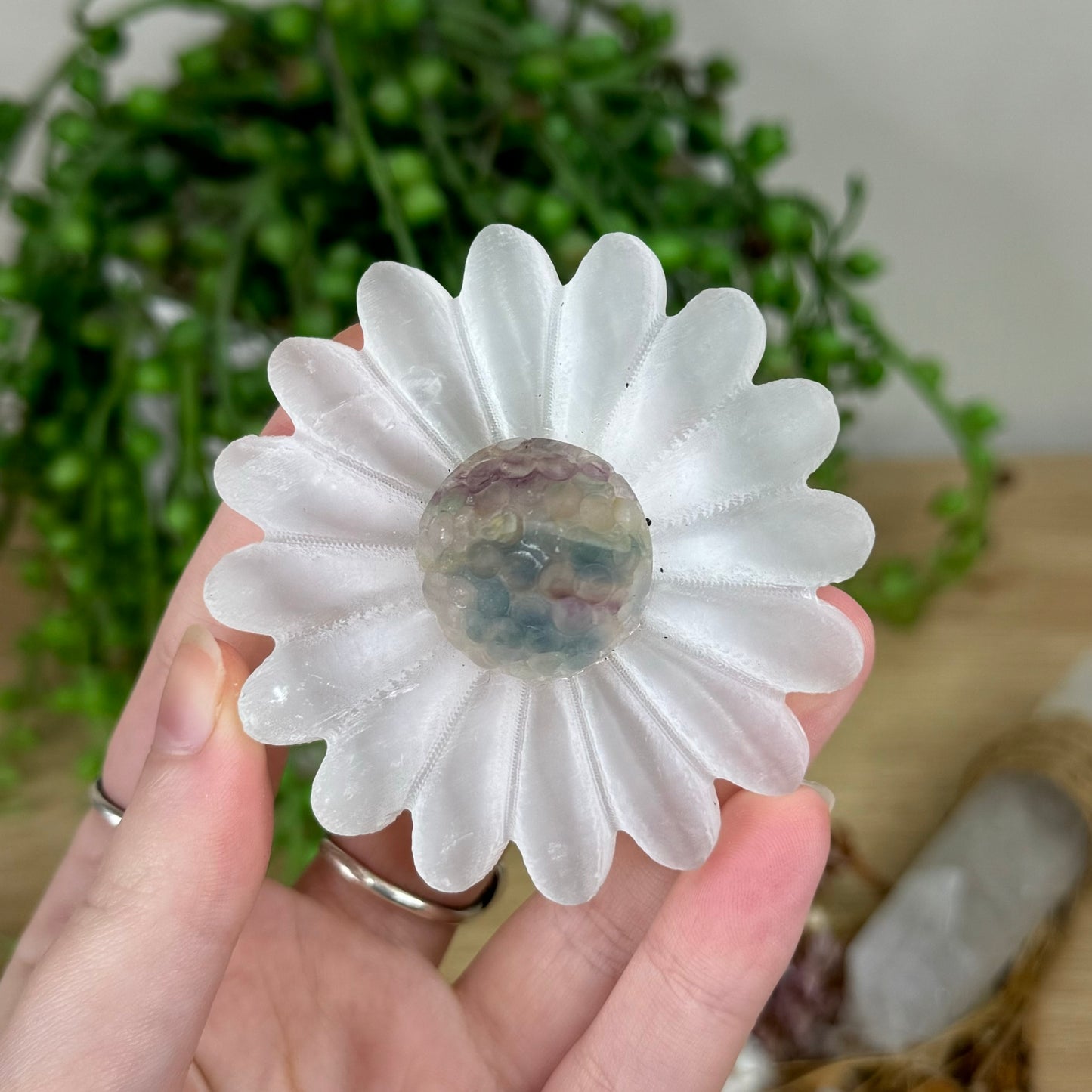 Selenite / Fluorite Daisy (R526)