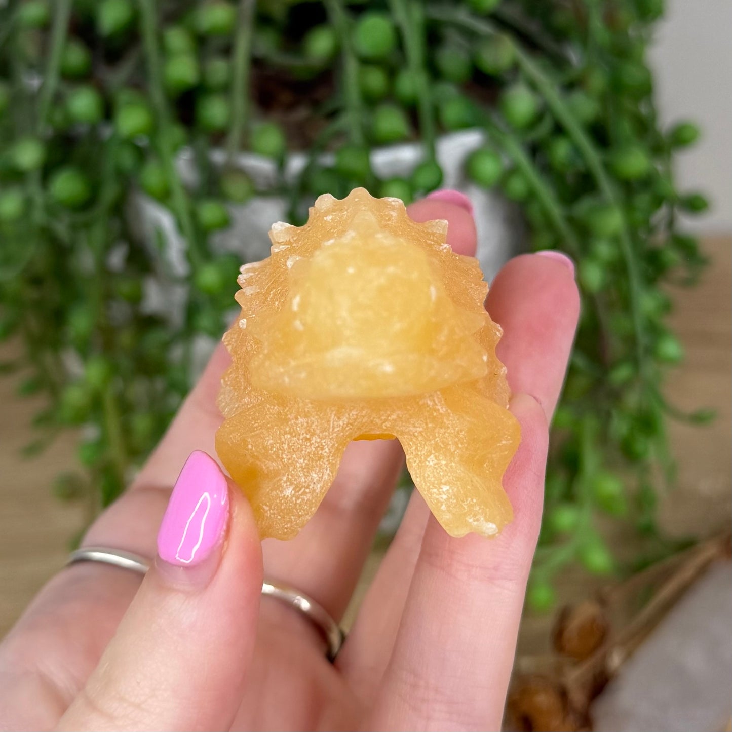 Yellow Calcite Bearded Dragon (X391)