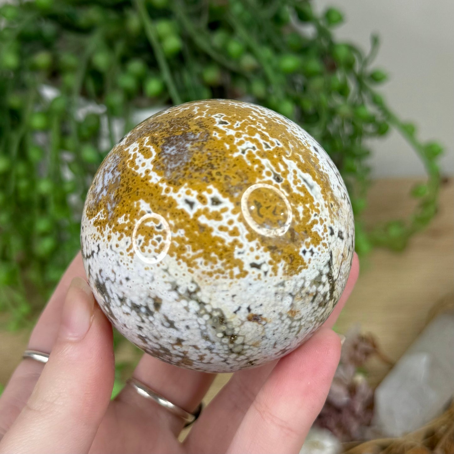 Ocean Jasper Sphere (R286)