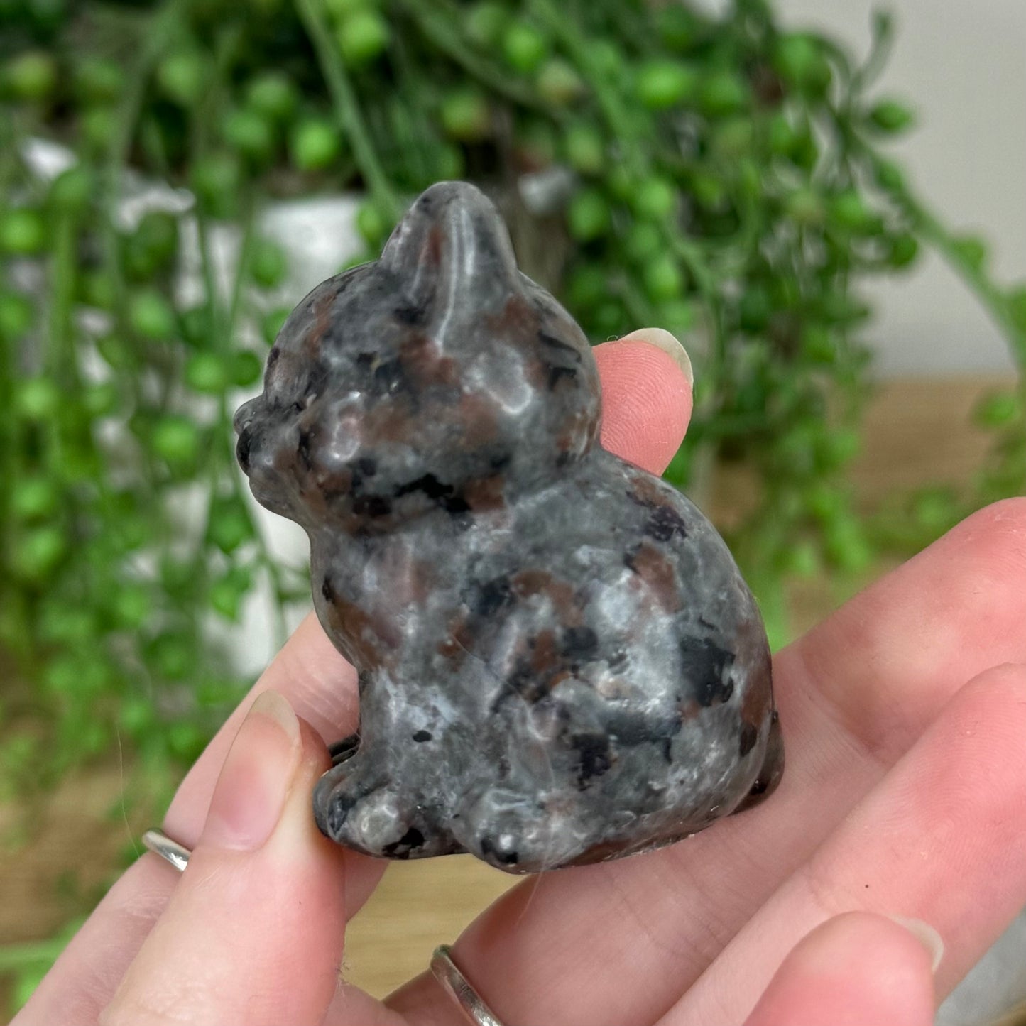 Yooperlite Cat (R295)