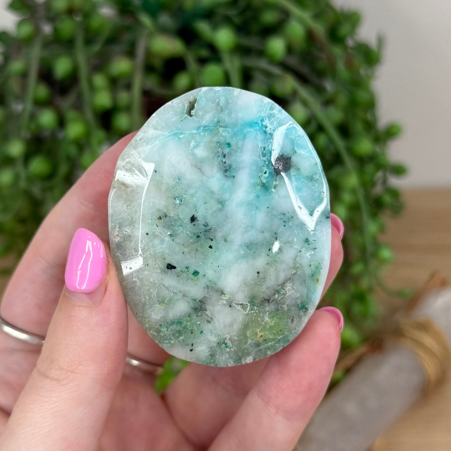 Phoenix Palm Stone (X339)