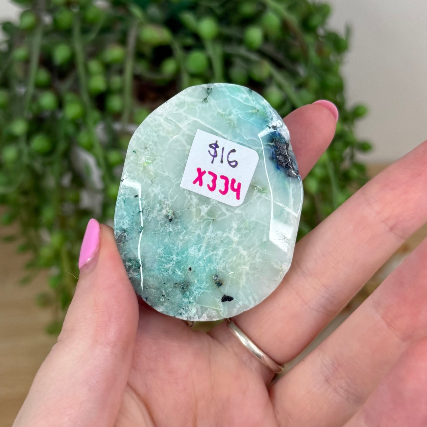 Phoenix Palm Stone (X334)