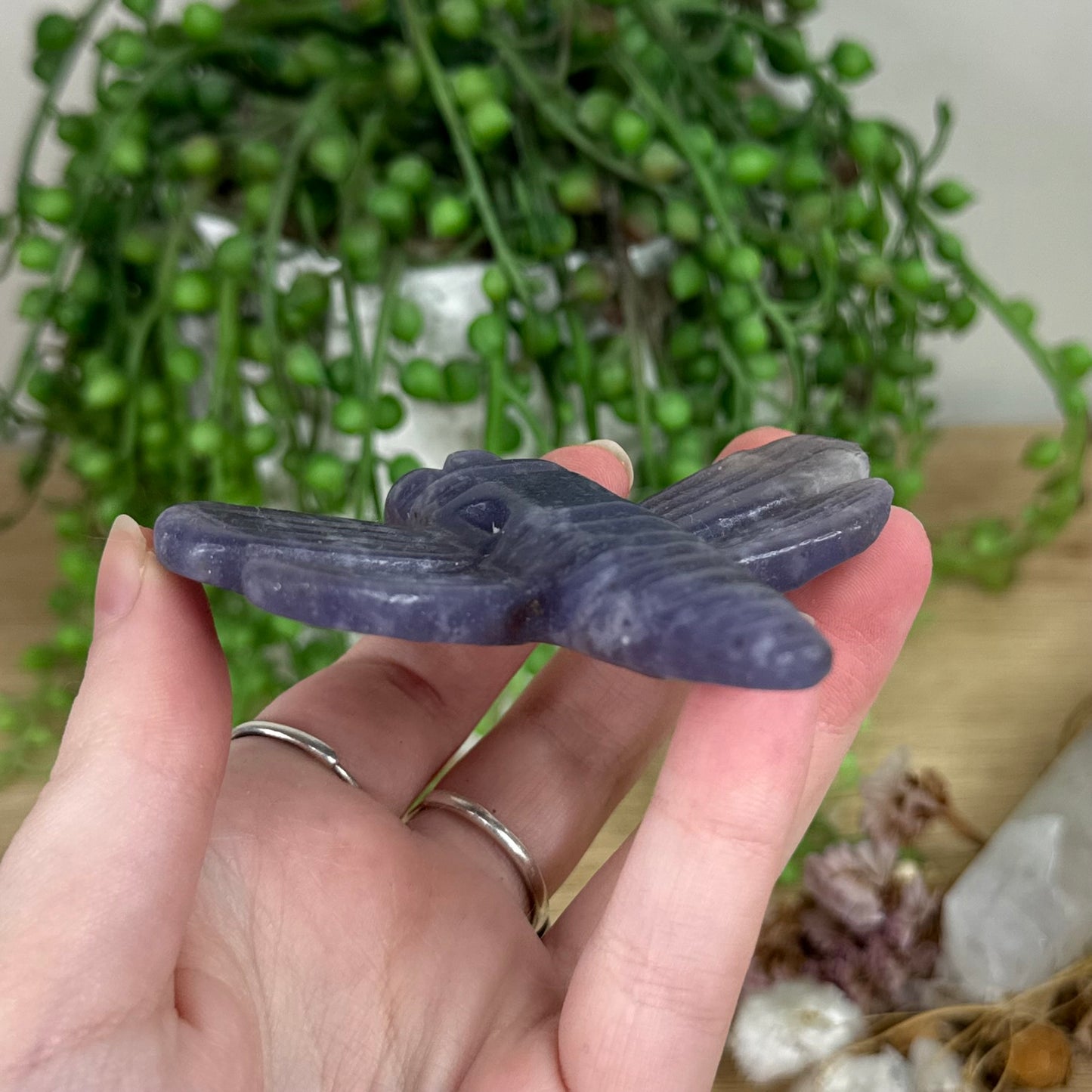 Lepidolite Dragonfly (R262) (R263) (R265) (R266)