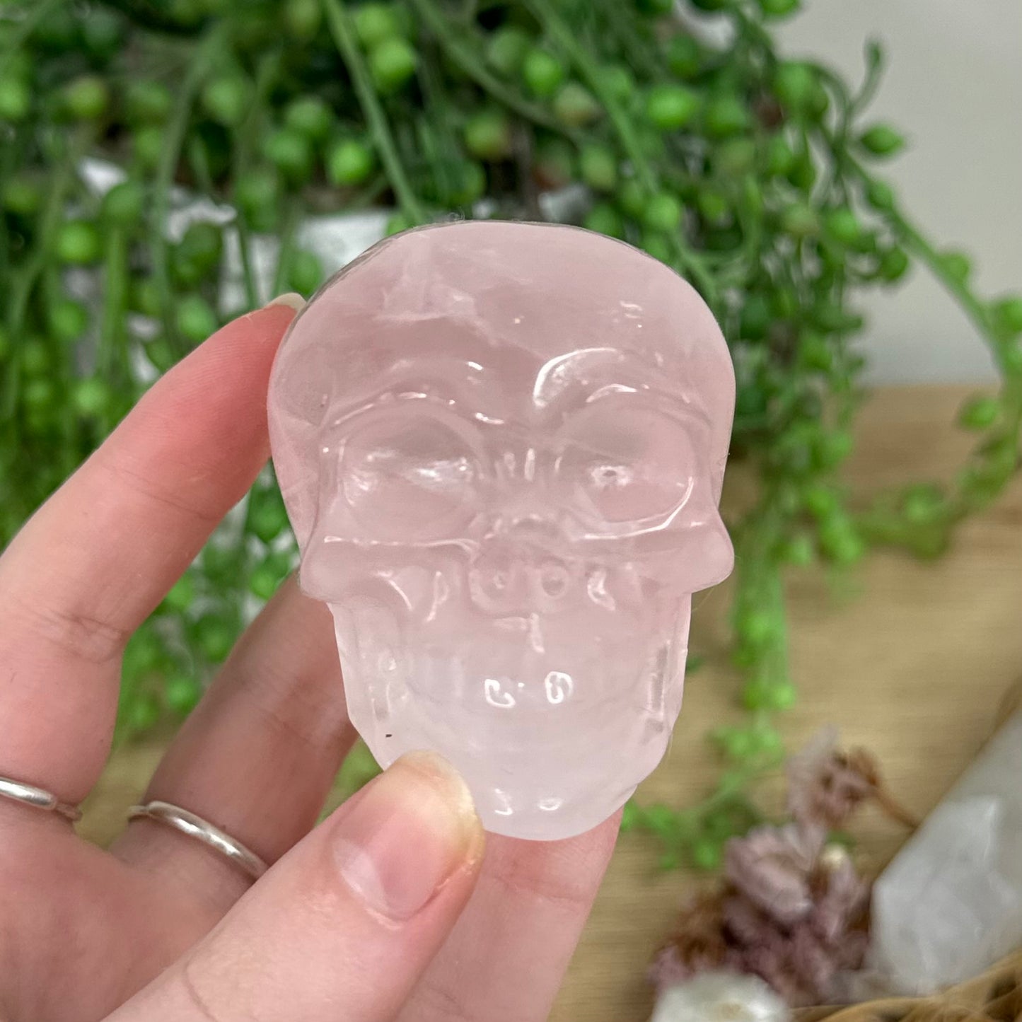 Rose Quartz Skull (R260)