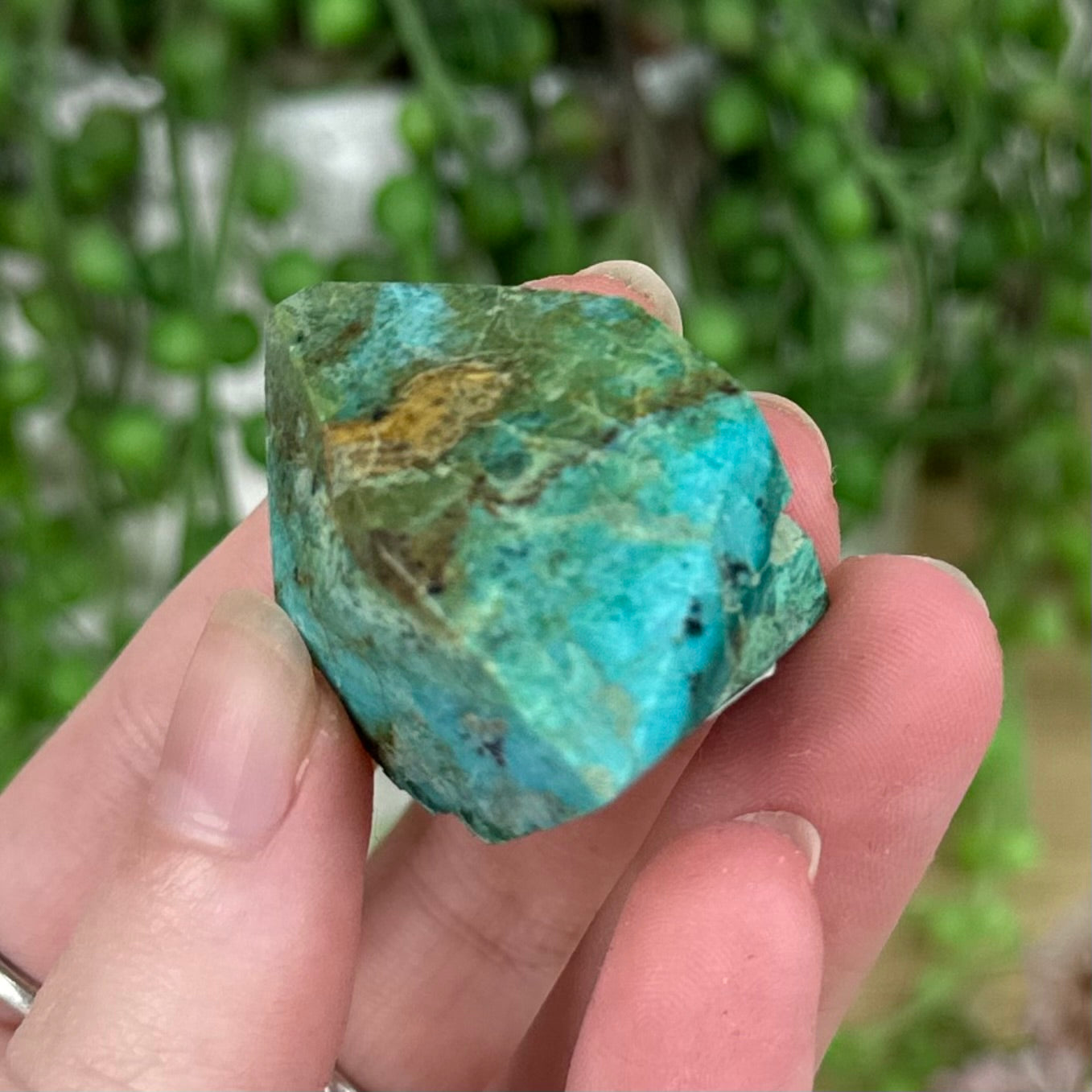 Malachite / Chrysocolla Free Form (R232)