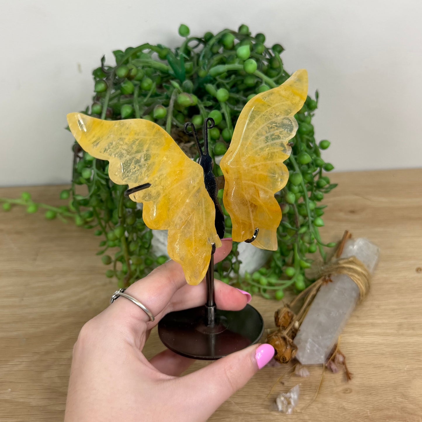 Golden Healer Butterfly Wings On Stand (X562)
