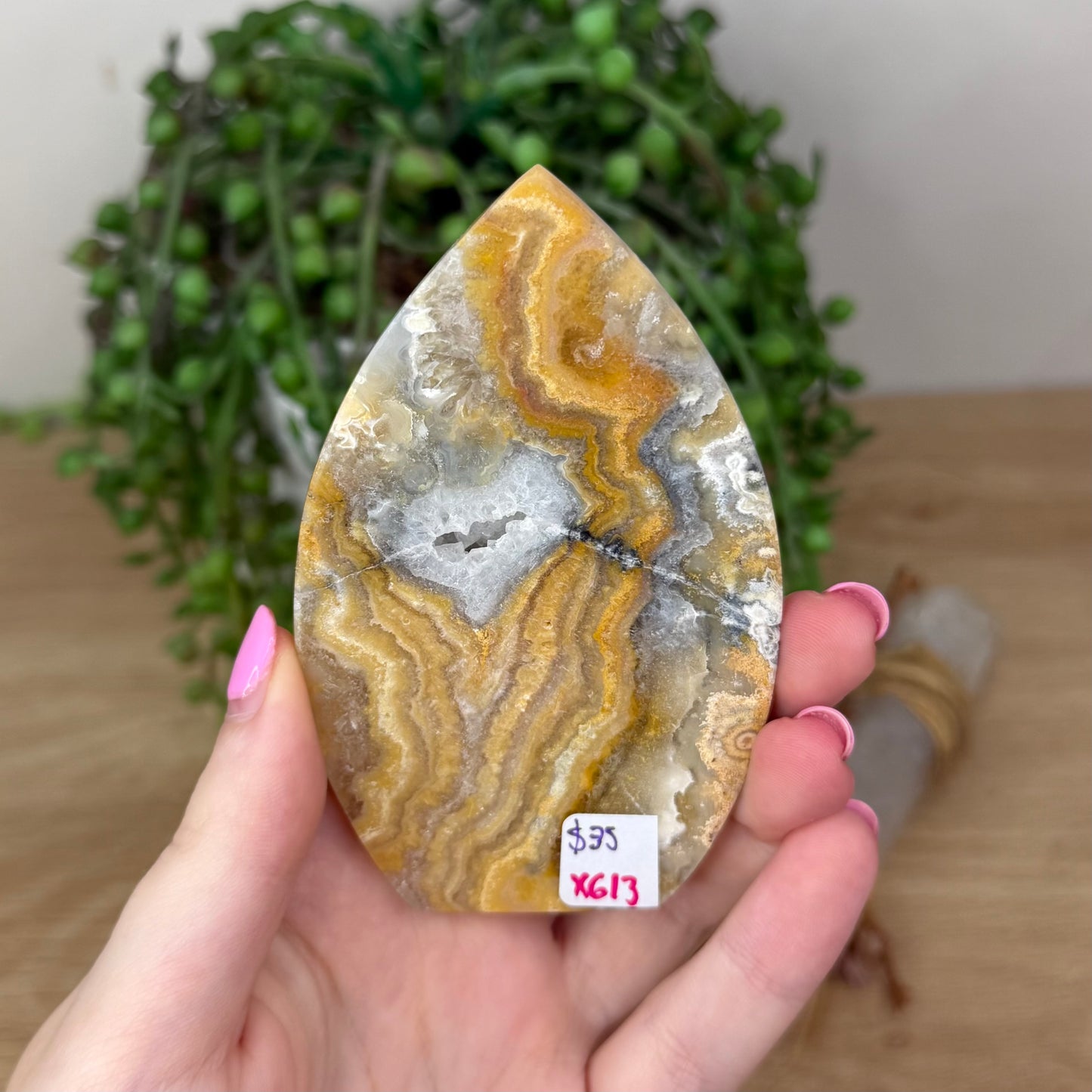 Crazy Lace Agate Arch Free Form (X613)