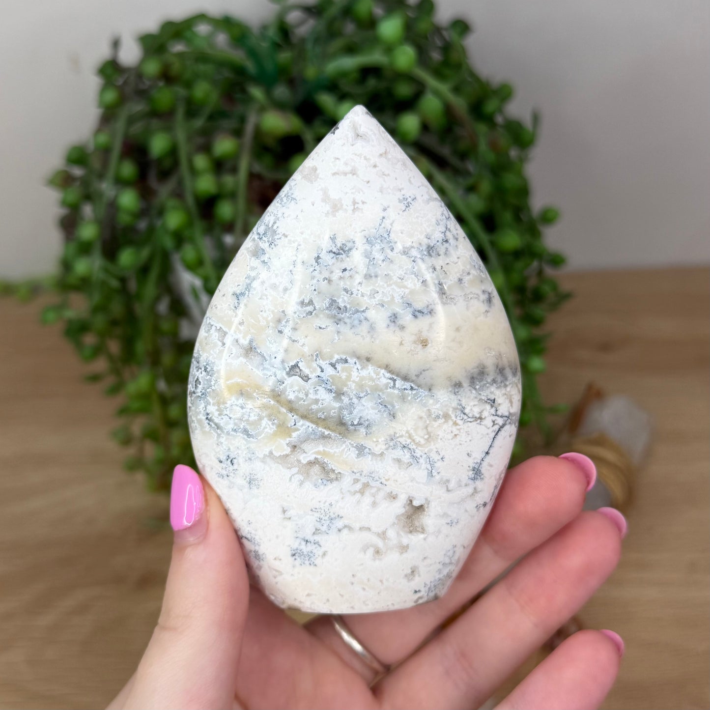 Dendritic Opal Arch Free Form (X649)
