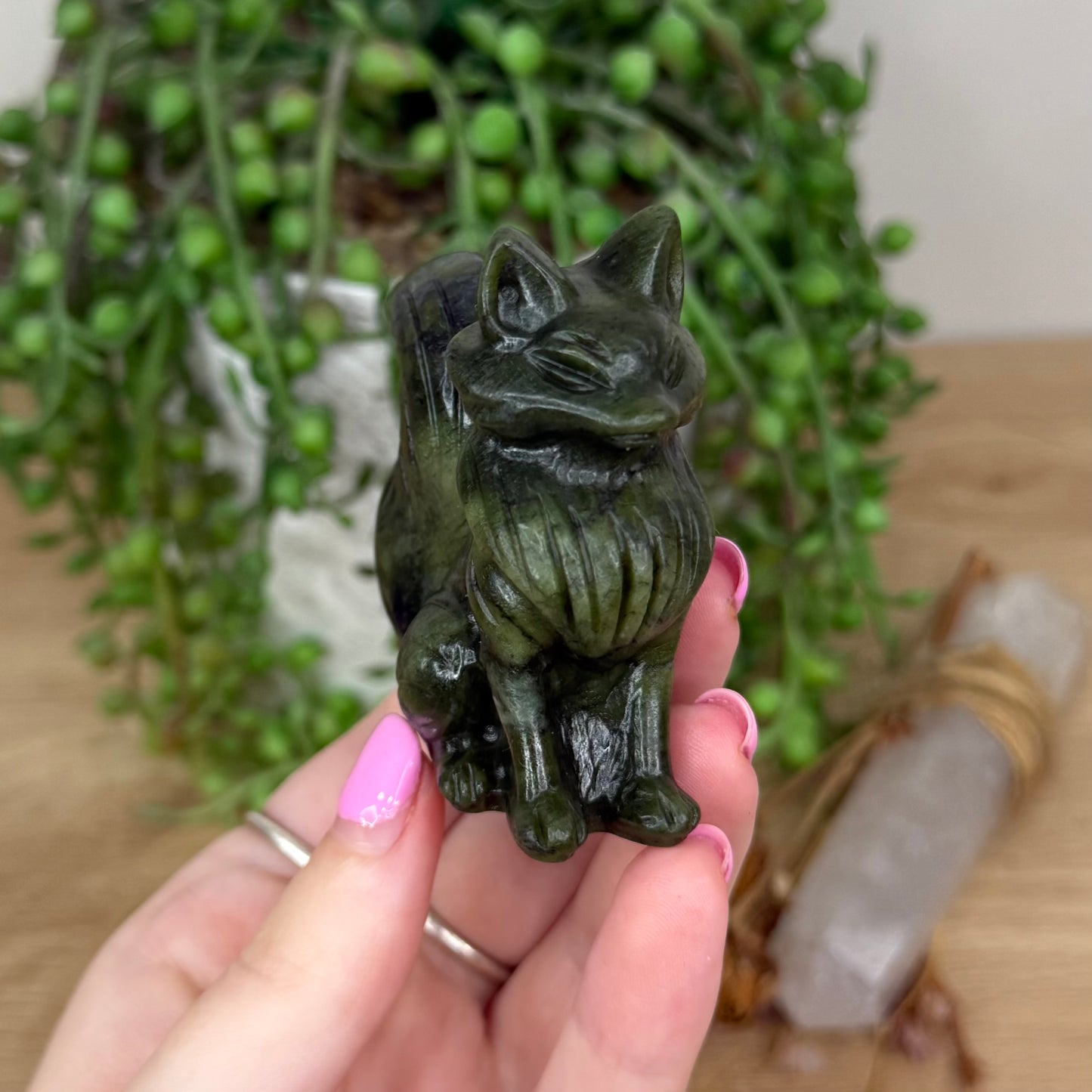 Green Jade Fox (X622)