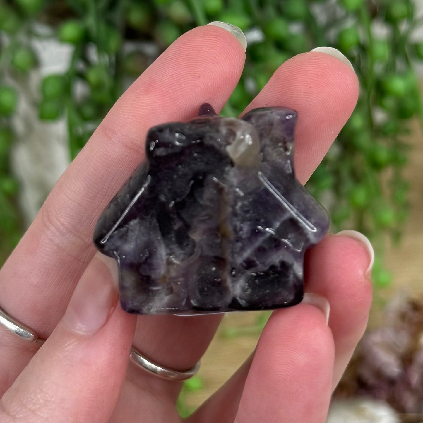 Dream Amethyst House (R703)