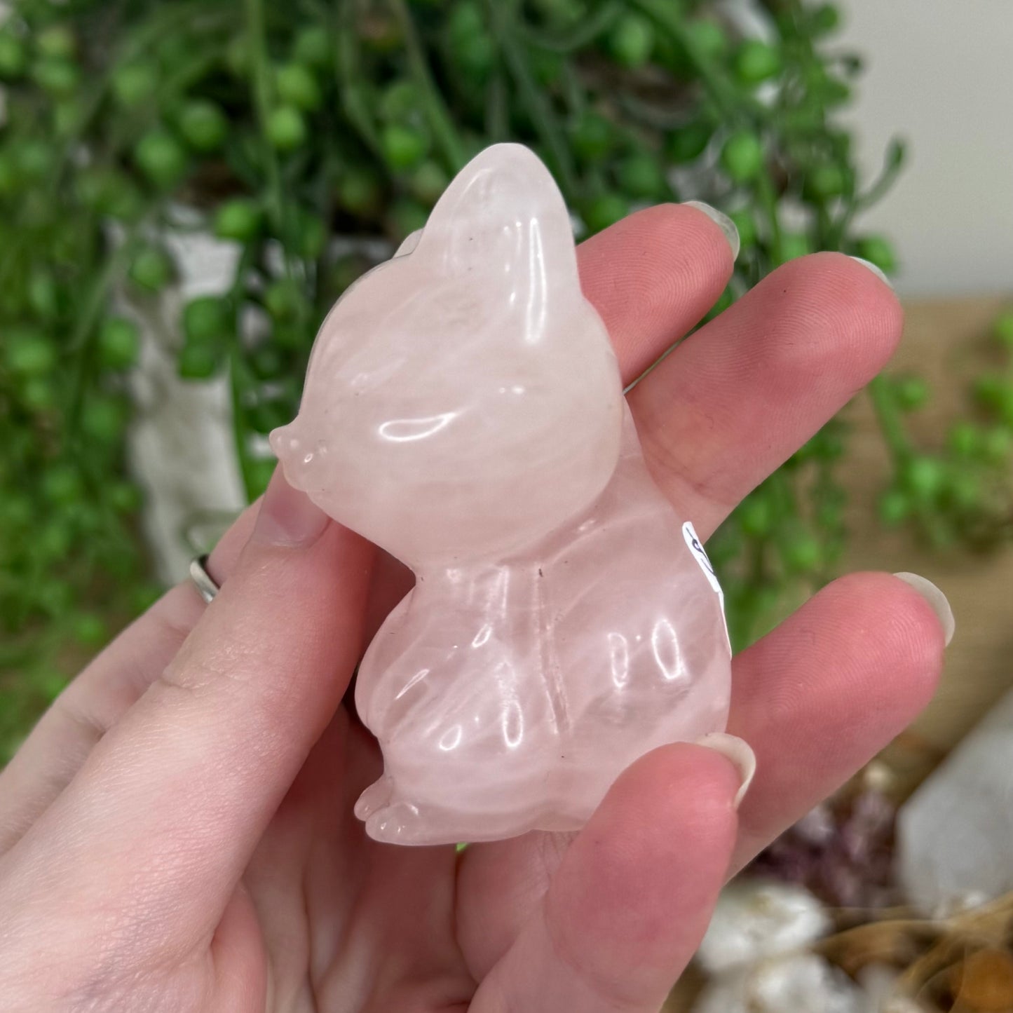 Rose Quartz Cat (R675) (R674)
