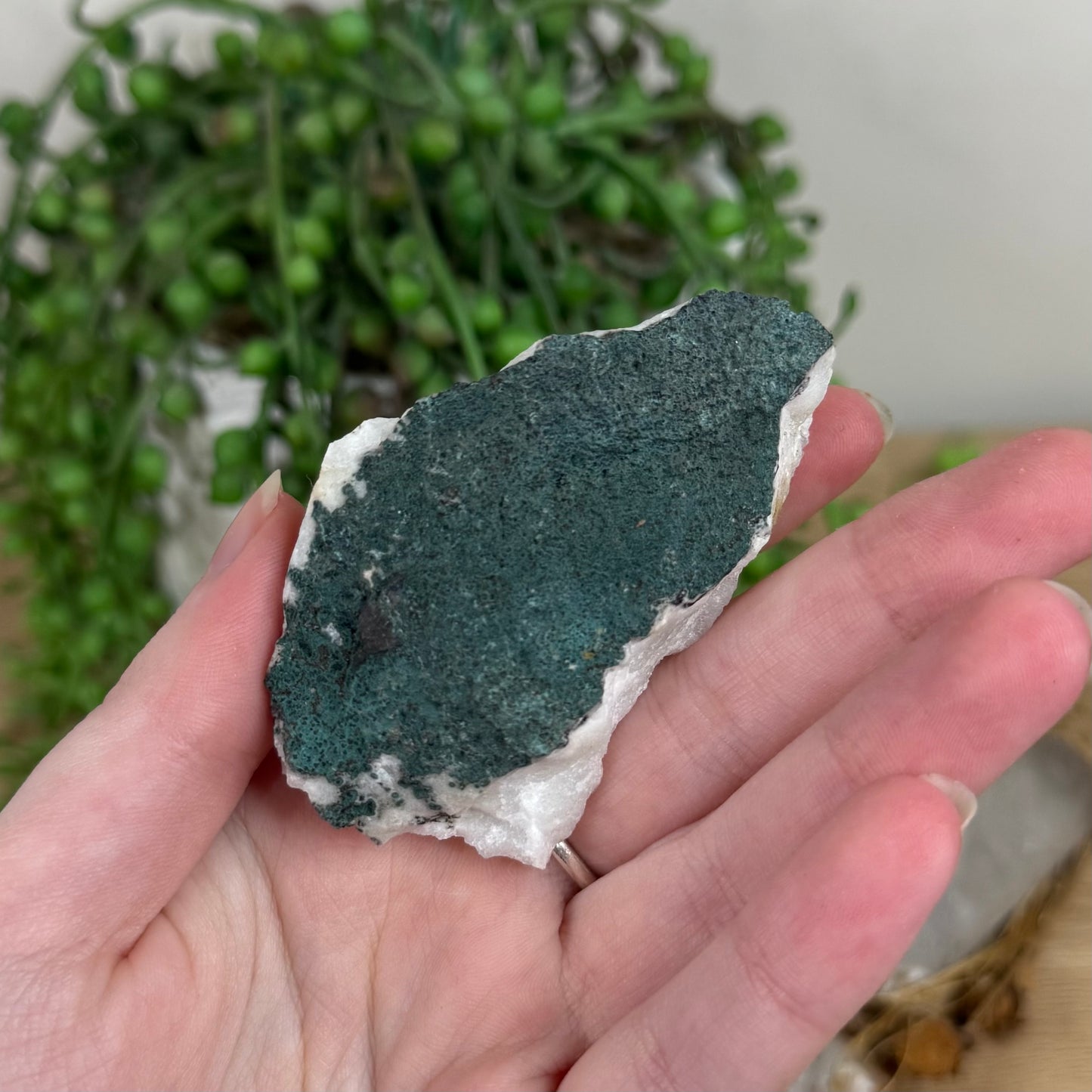 Apophyllite / Chalcedony Cluster (R552)