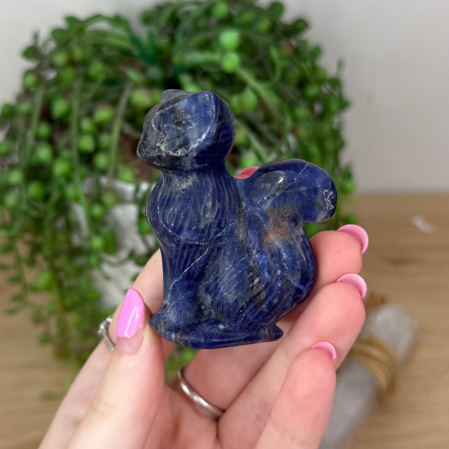 Sodalite Cat (X773)