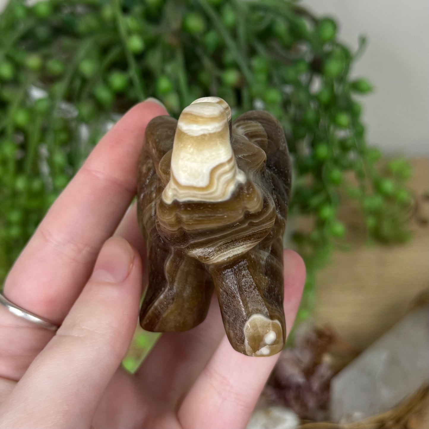 Chocolate Calcite Elephant (R762)
