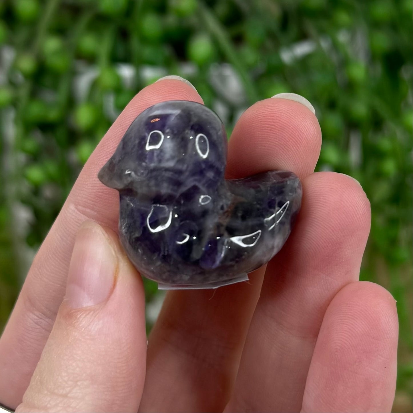Dream Amethyst Duck (I659) (I661) (L144)