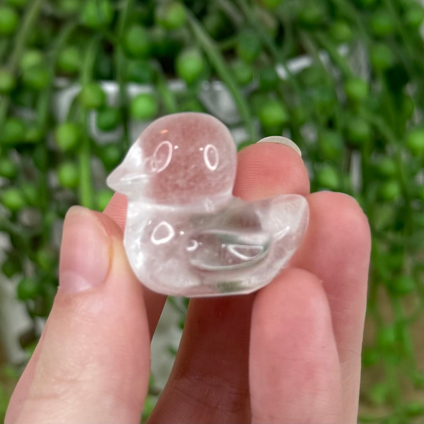Clear Quartz Duck (I672)