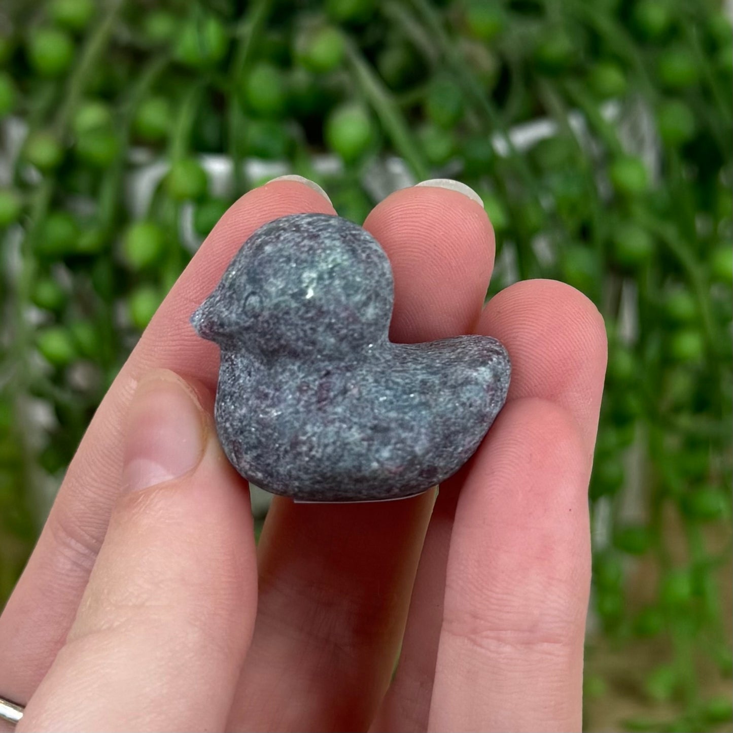 Ruby In Kyanite Duck (I677) (I675)