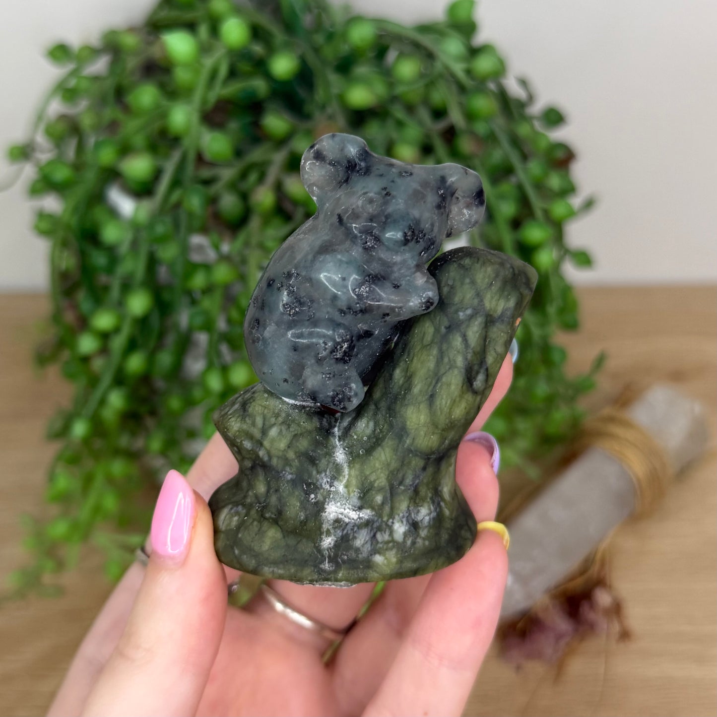 Kiwi Jasper / Green Jade Koala In Tree (X921)