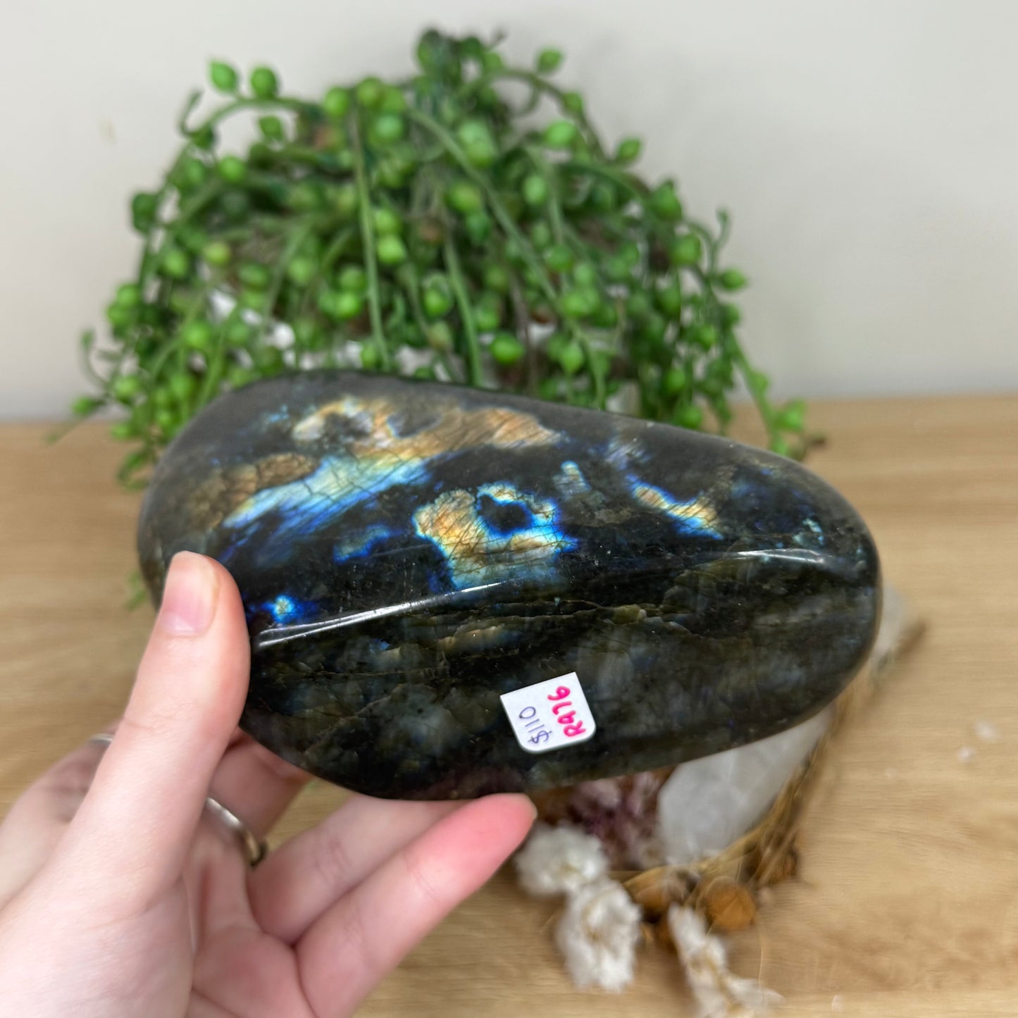 Labradorite Free Form (R976)