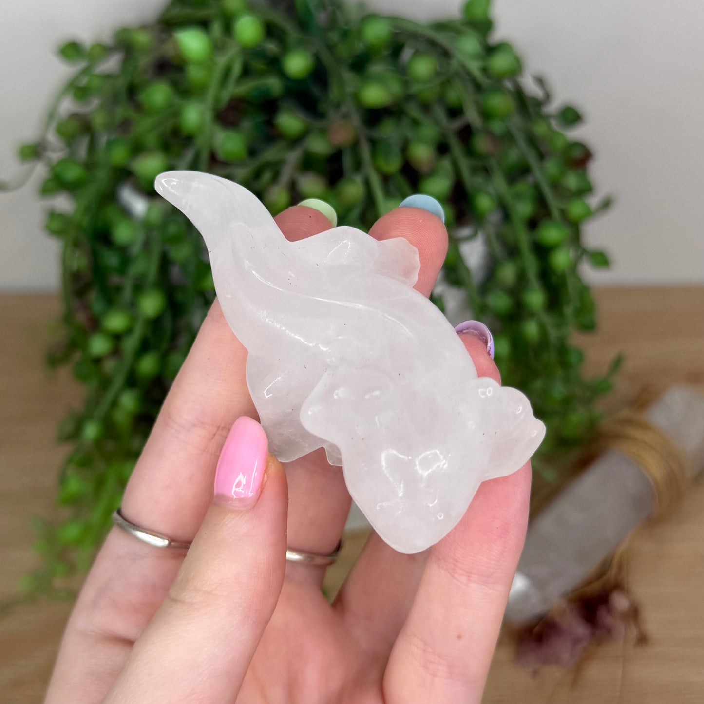 Clear Quartz Axolotl (X915)