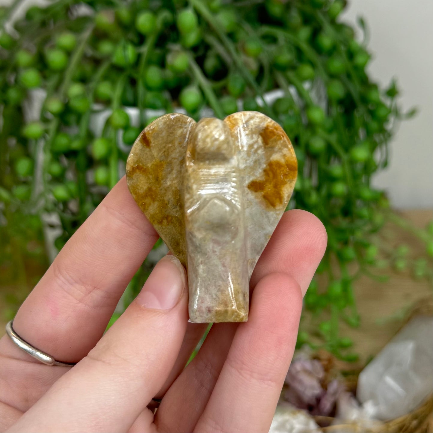Jasper Angel (N872)