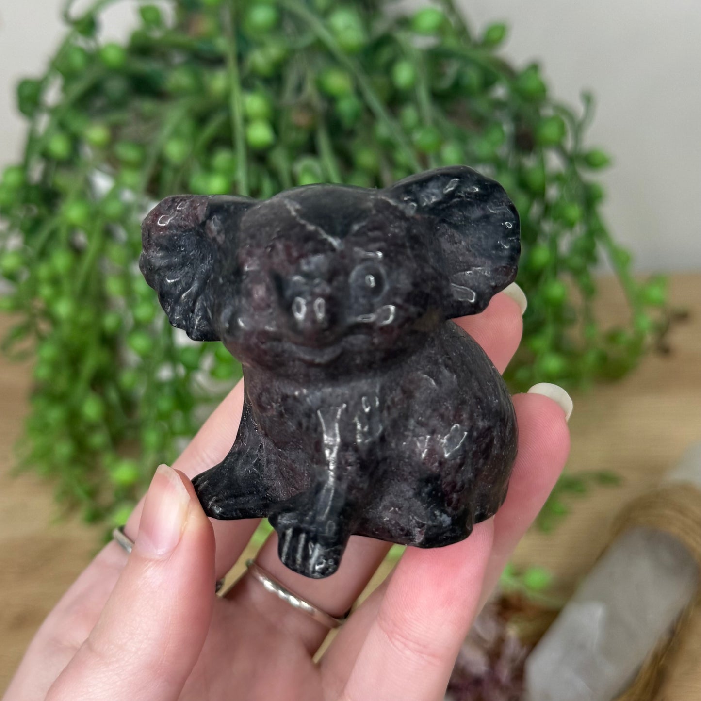 Garnet Koala (S43)
