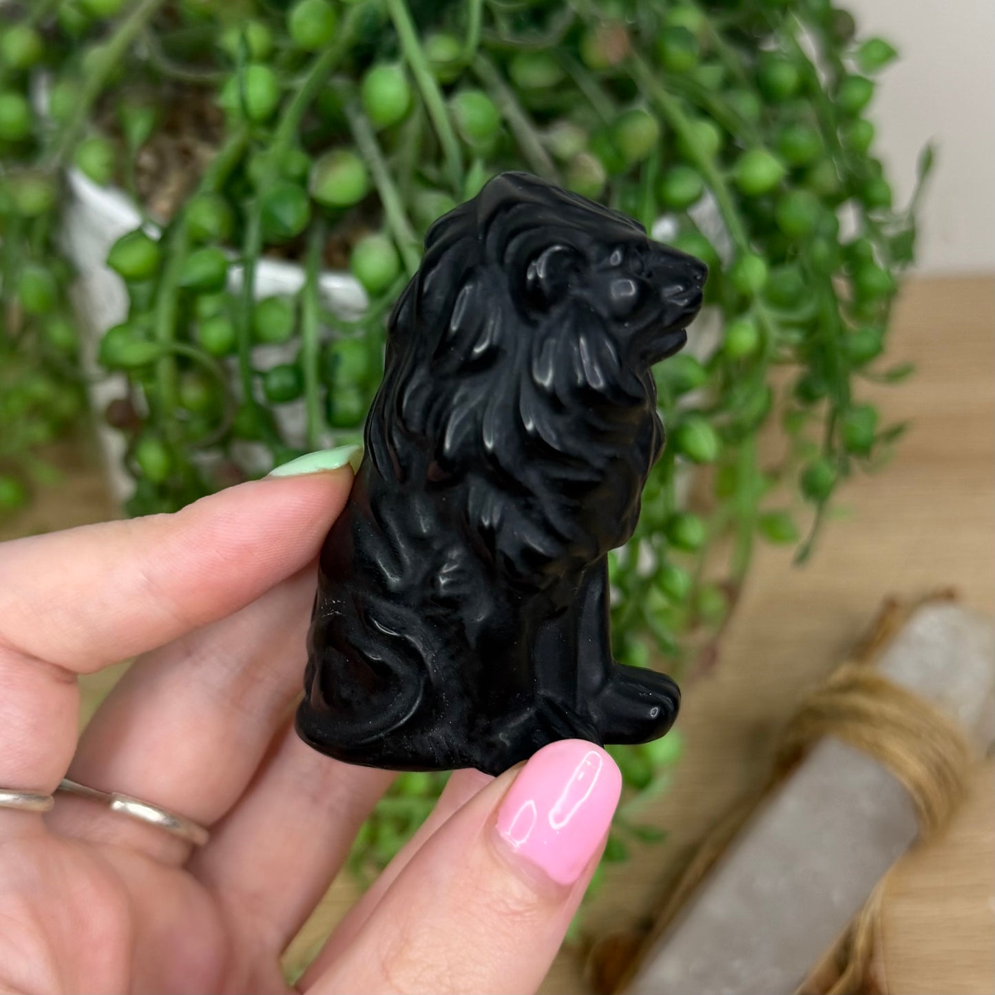 Black Obsidian Lion (Y135)