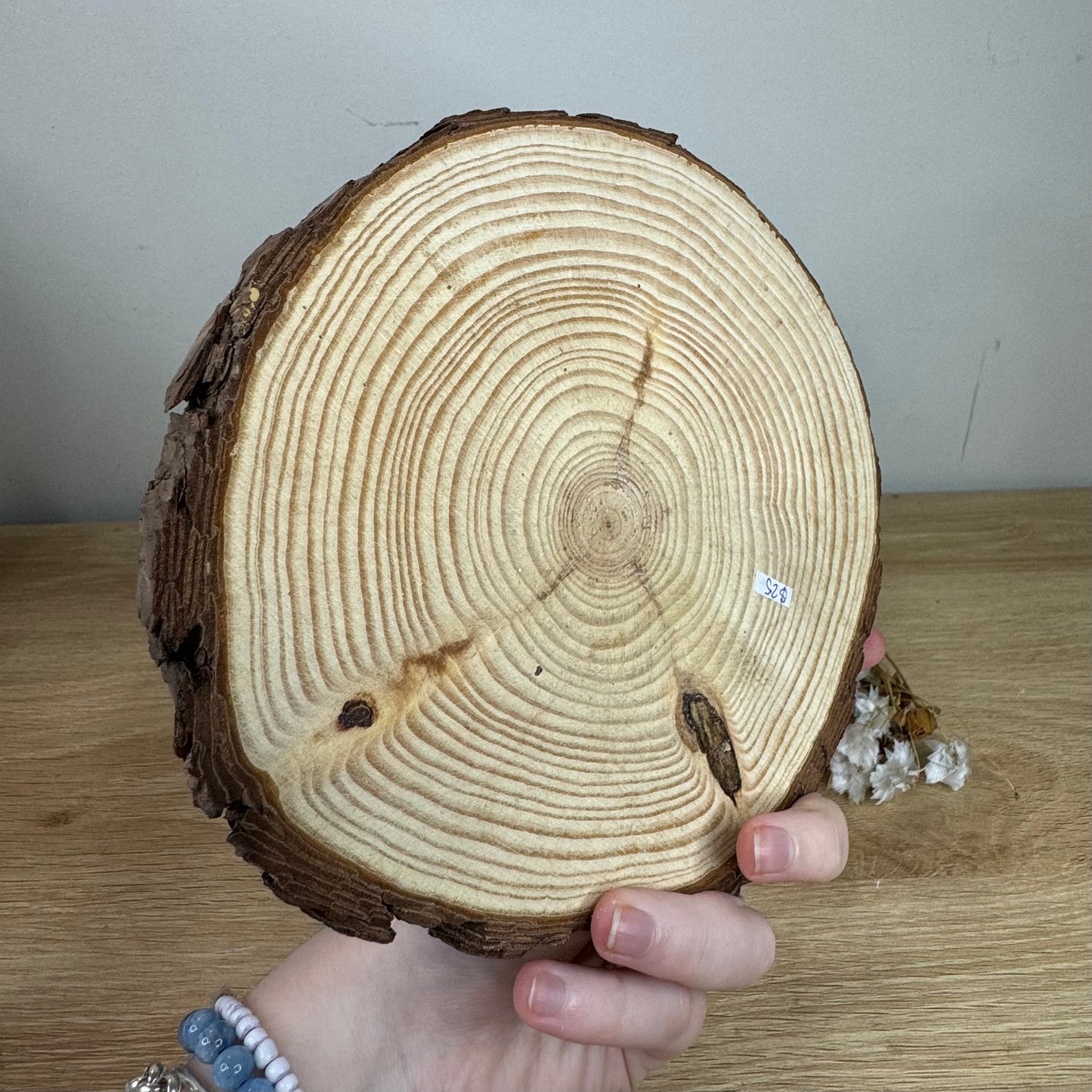 Chakra Wooden Log Slice