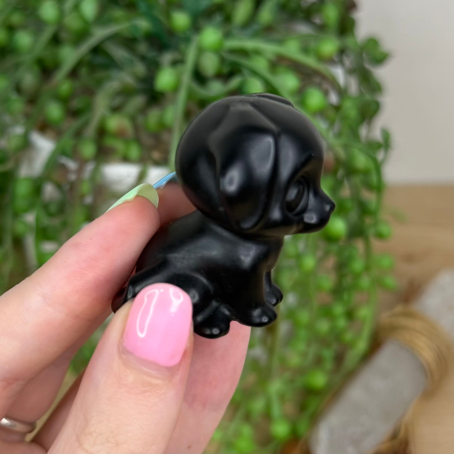 Black Obsidian Dog (Y201)