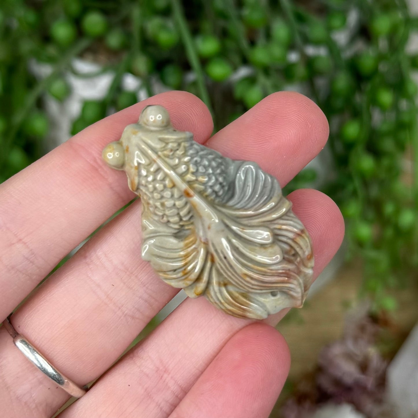 Alashan Koi Fish (S272)