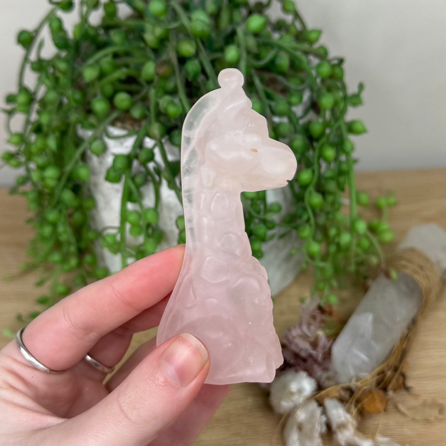 Rose Quartz Giraffe (S239)