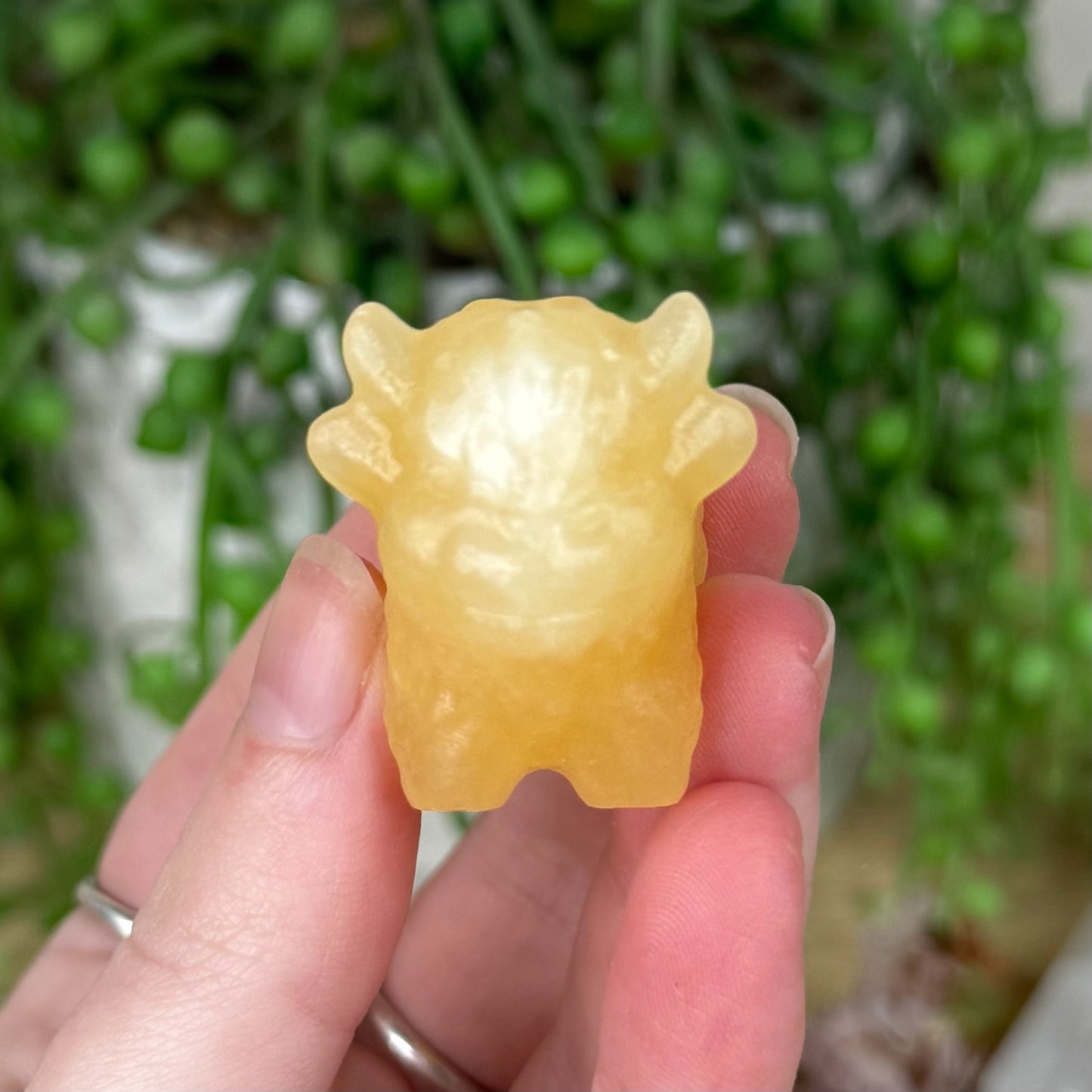 Yellow Calcite Small Highland Cow