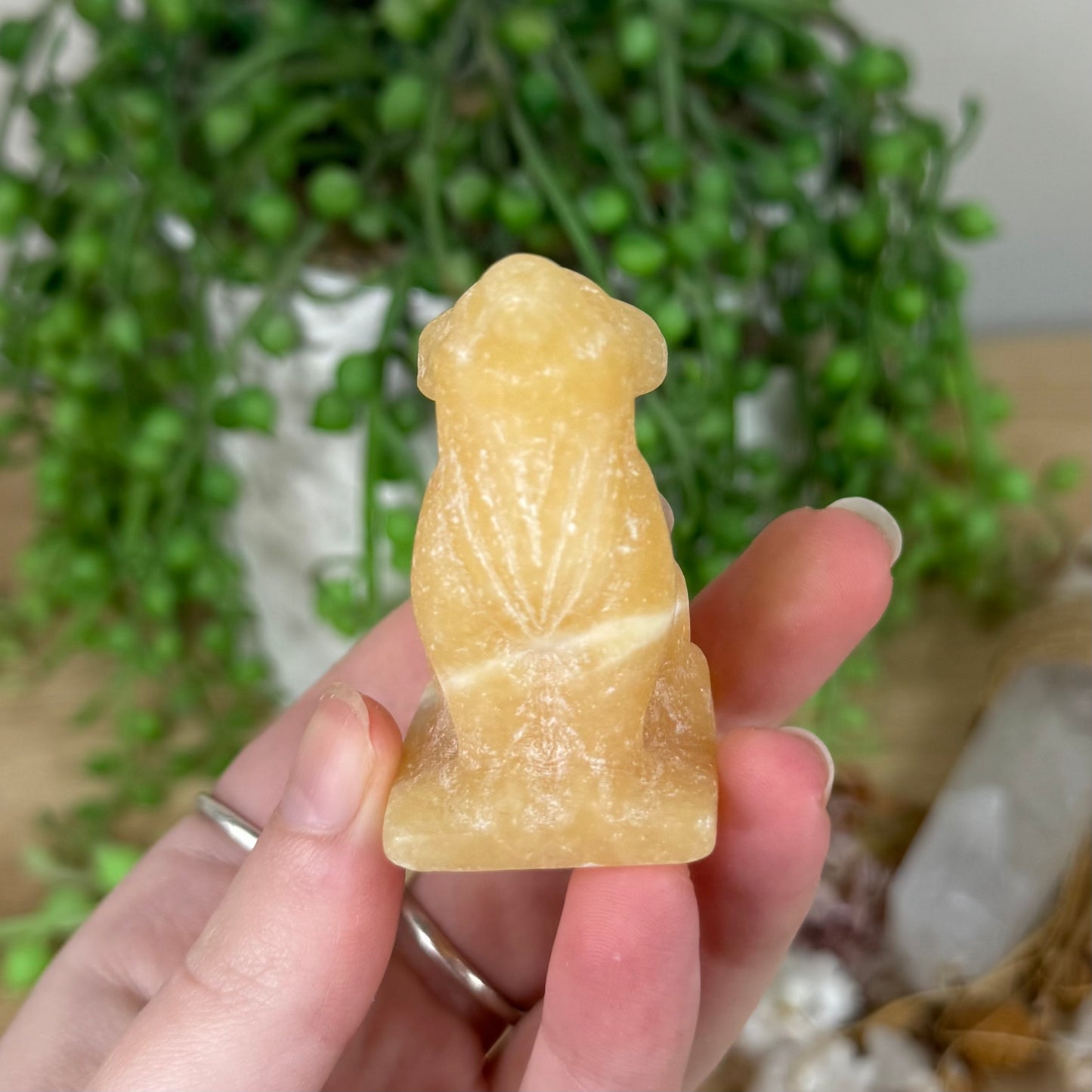 Yellow Calcite Wolf (S403)