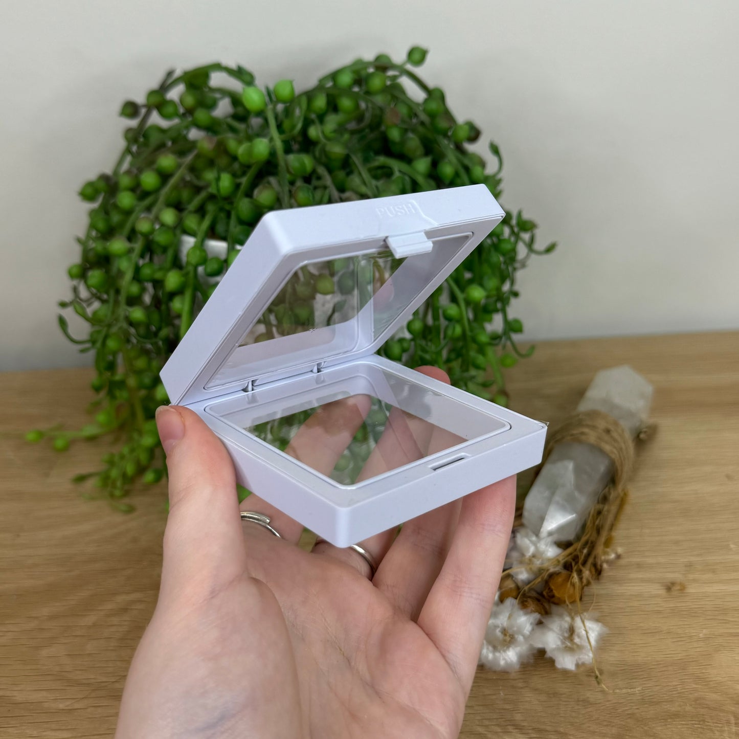 Large White Case