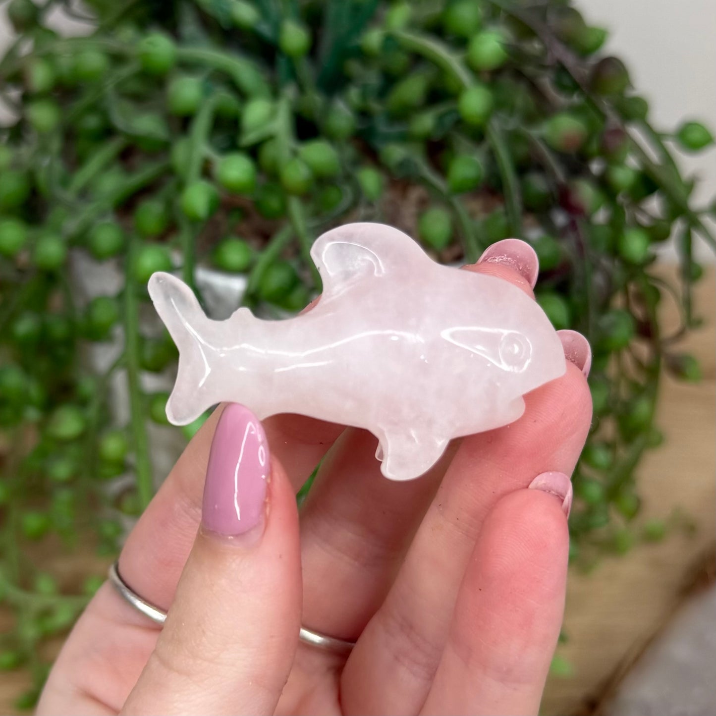 Rose Quartz Shark (Y544)