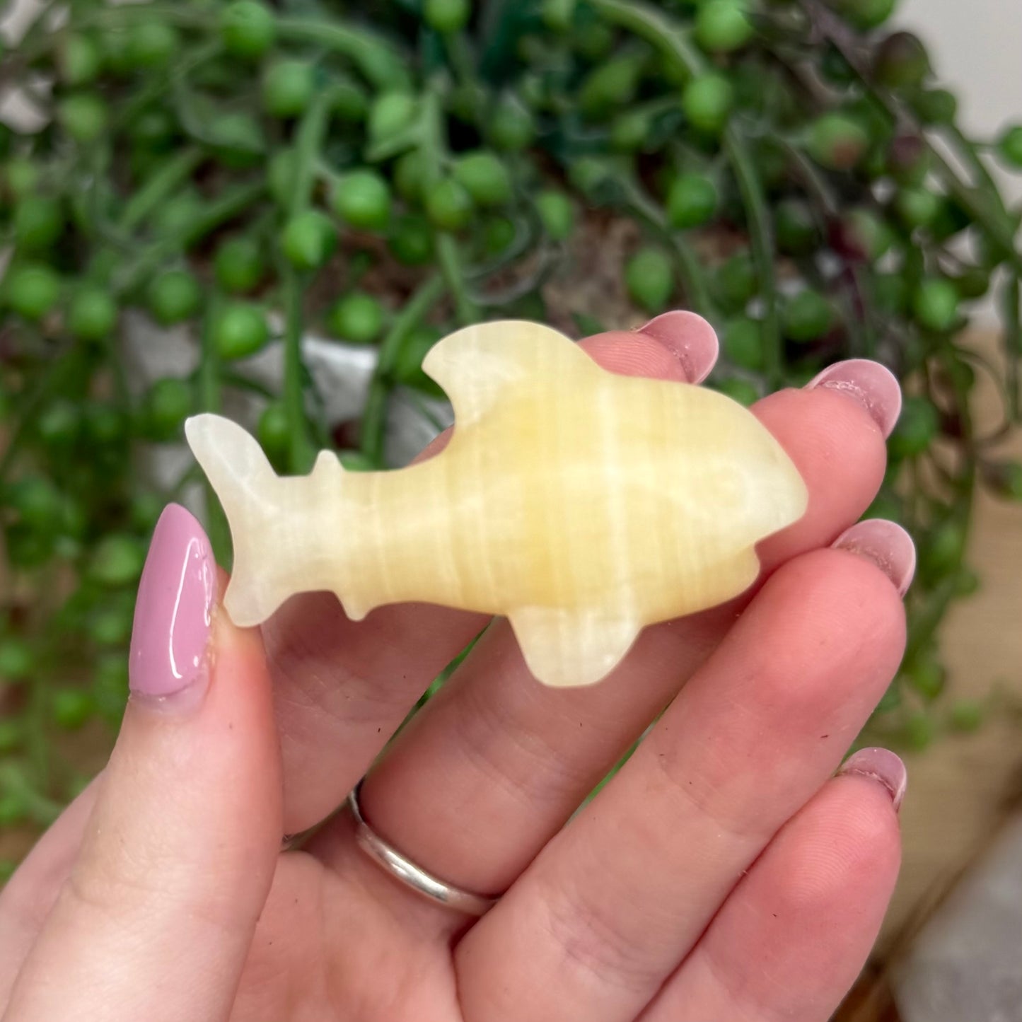 Yellow Calcite Shark (Y548)