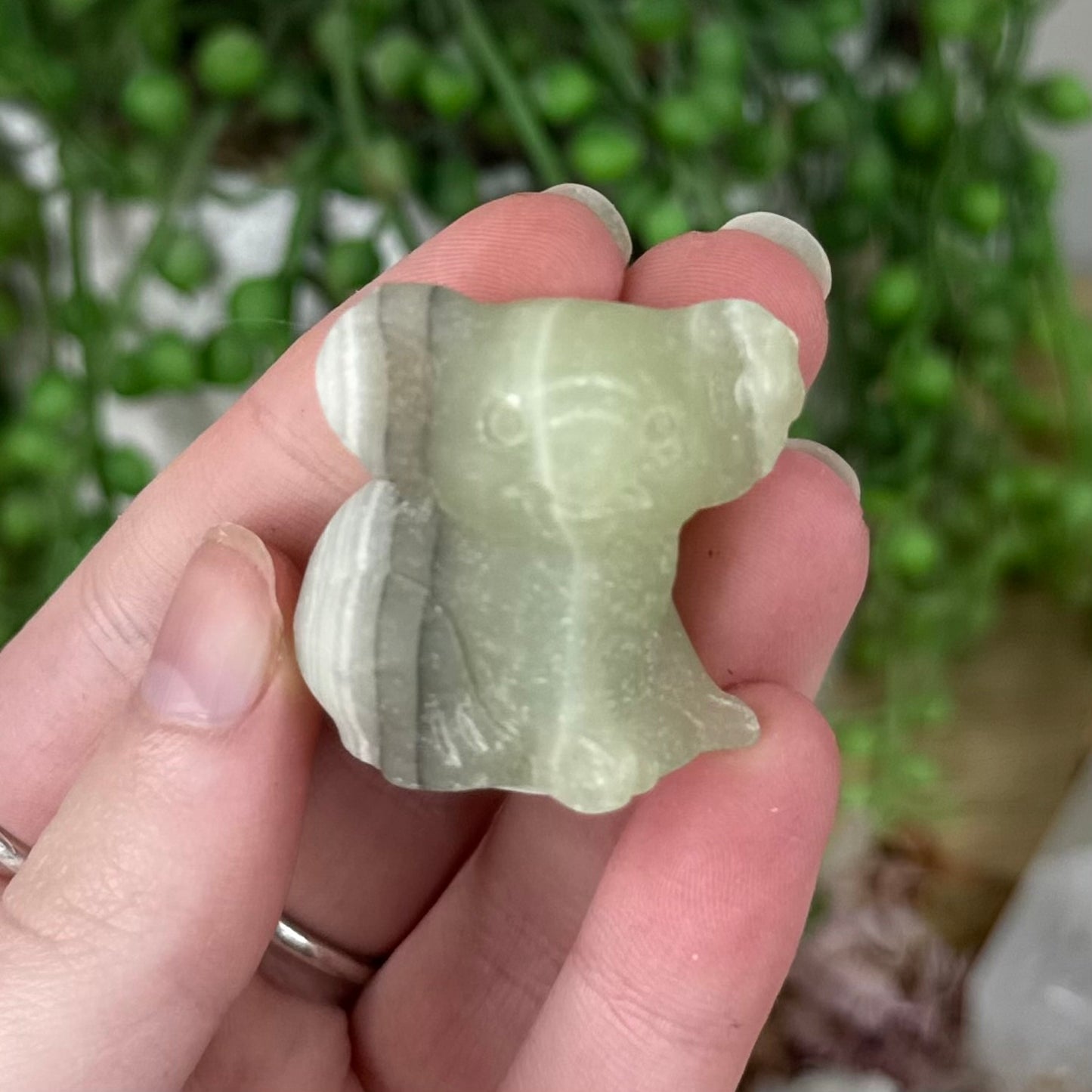 Afghan Jade Koala (S490)