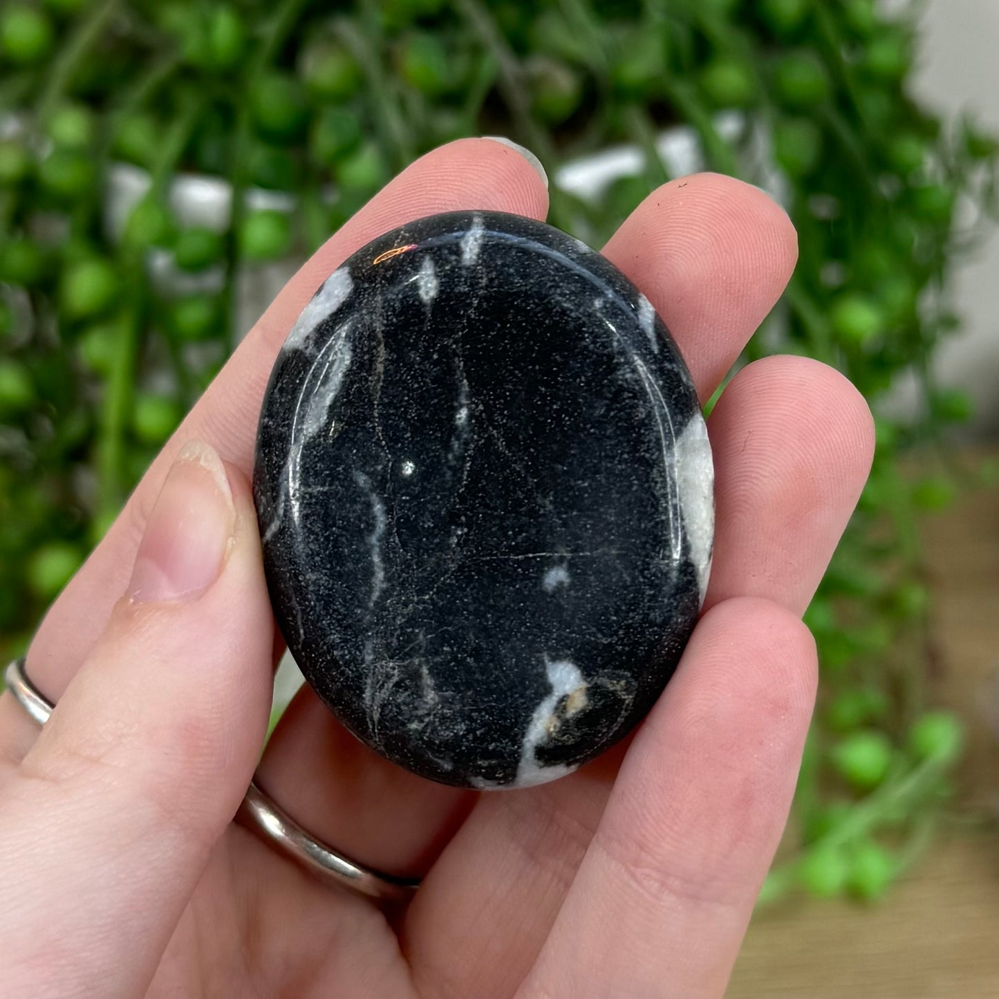 Black Shell Jasper Lucky Stone