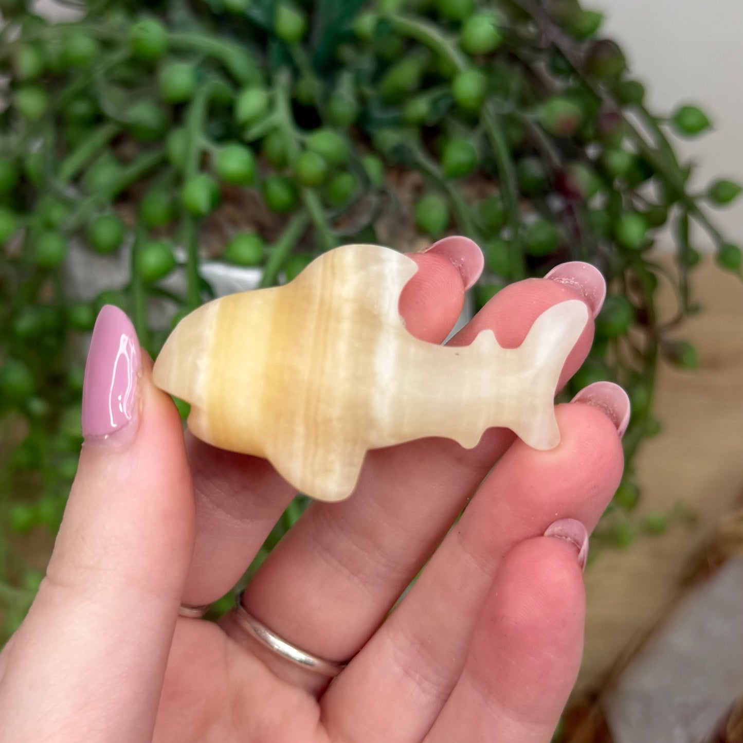 Yellow Calcite Shark (Y551)