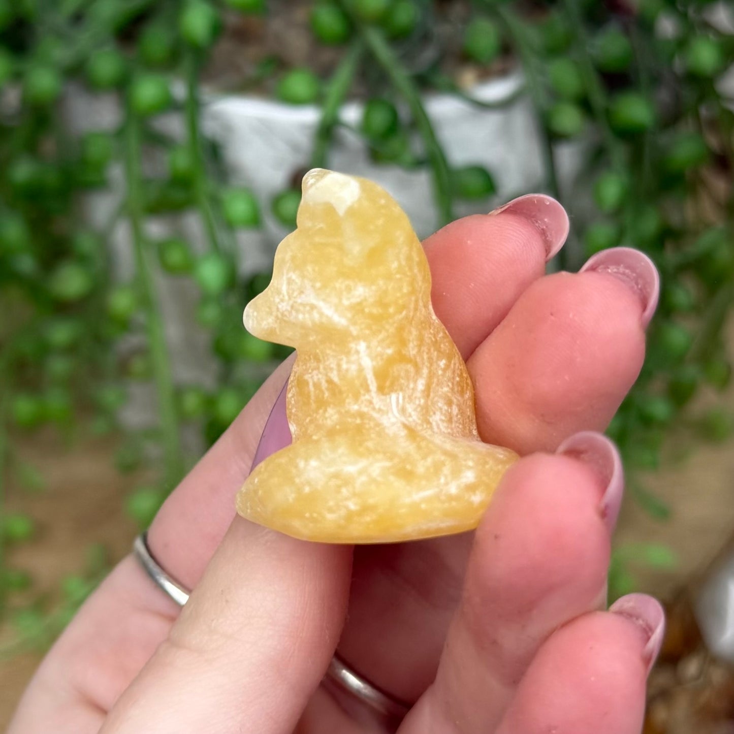 Yellow Calcite Fox (Y296) (Y925)
