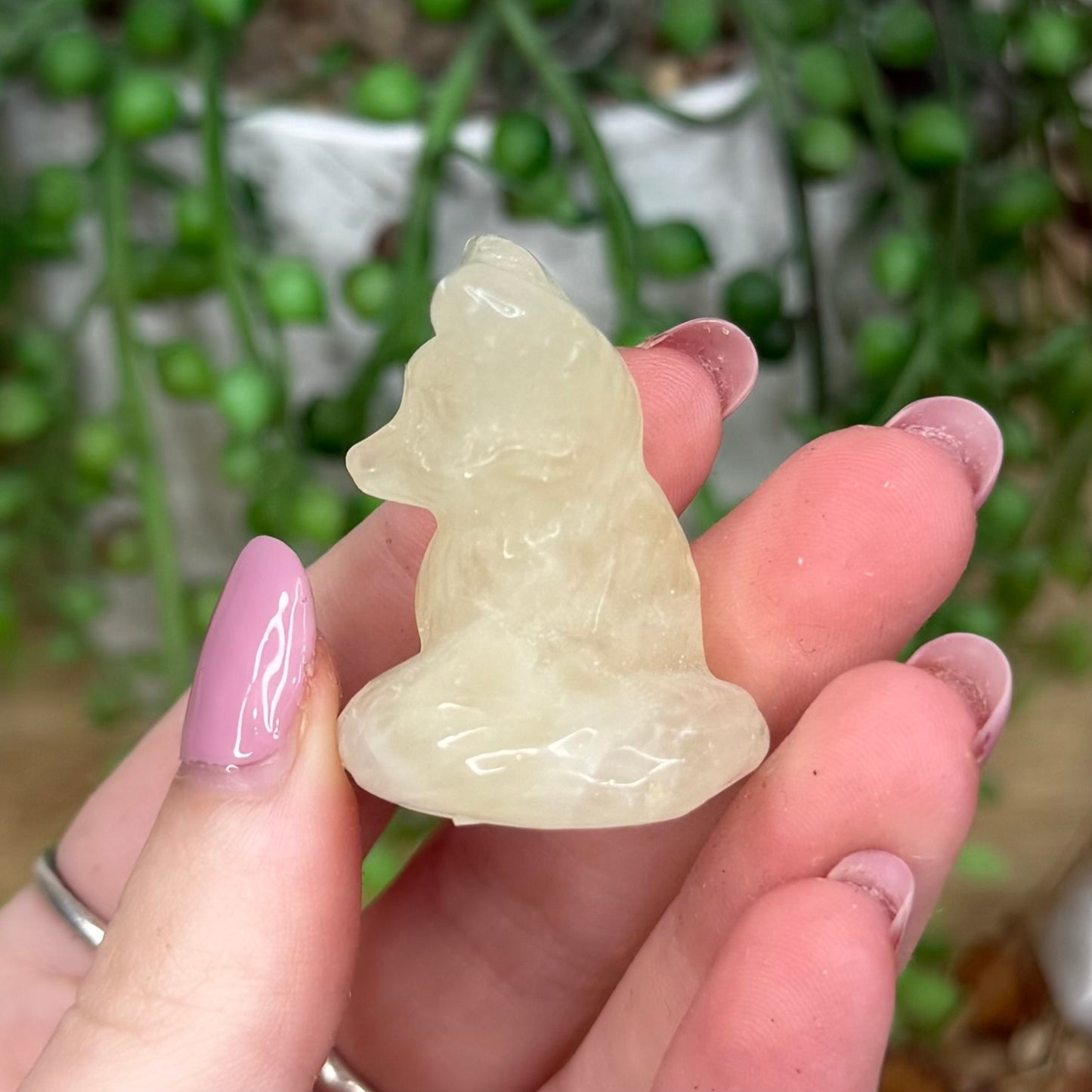 Citrine Fox (Y298)