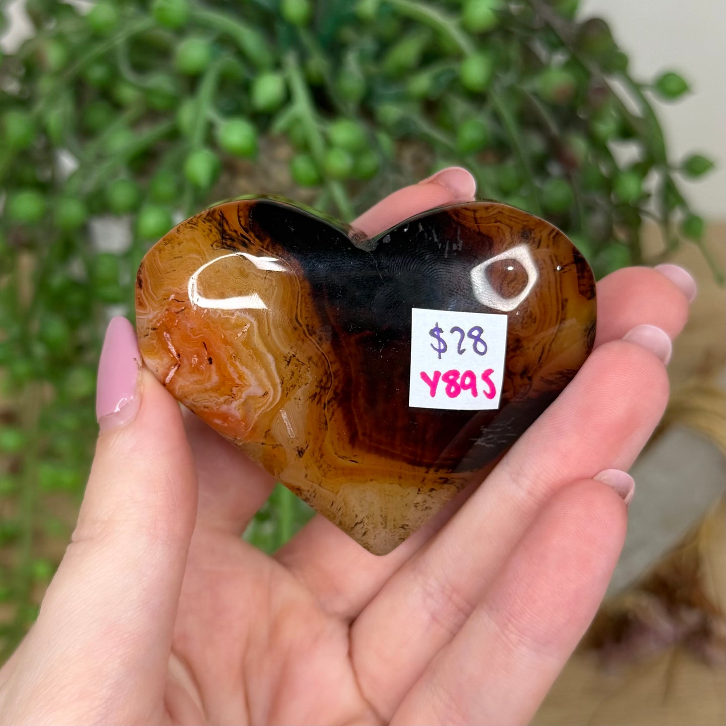 Sardonyx Heart (Y895)