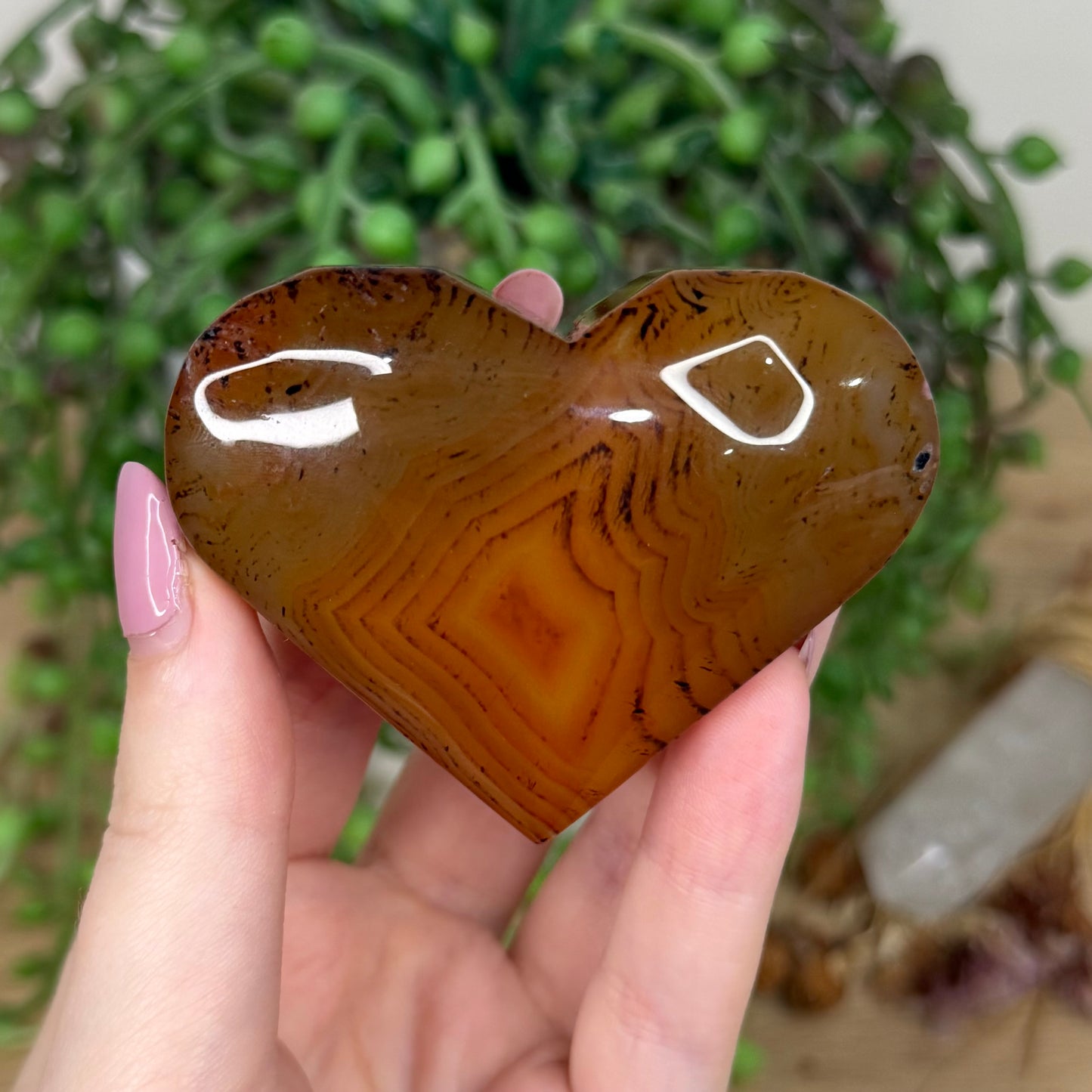 Sardonyx Heart (Y897)