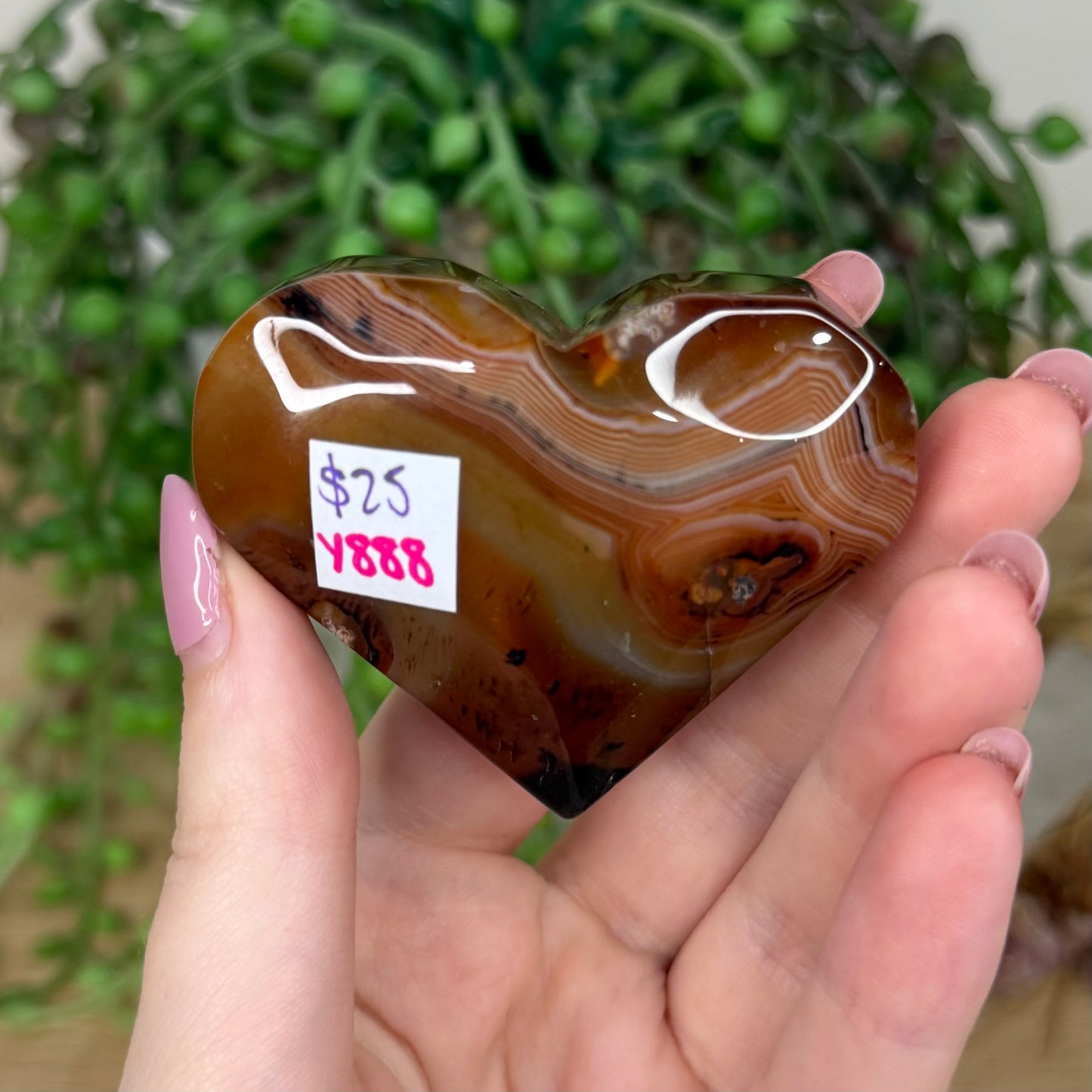 Sardonyx Heart (Y888)