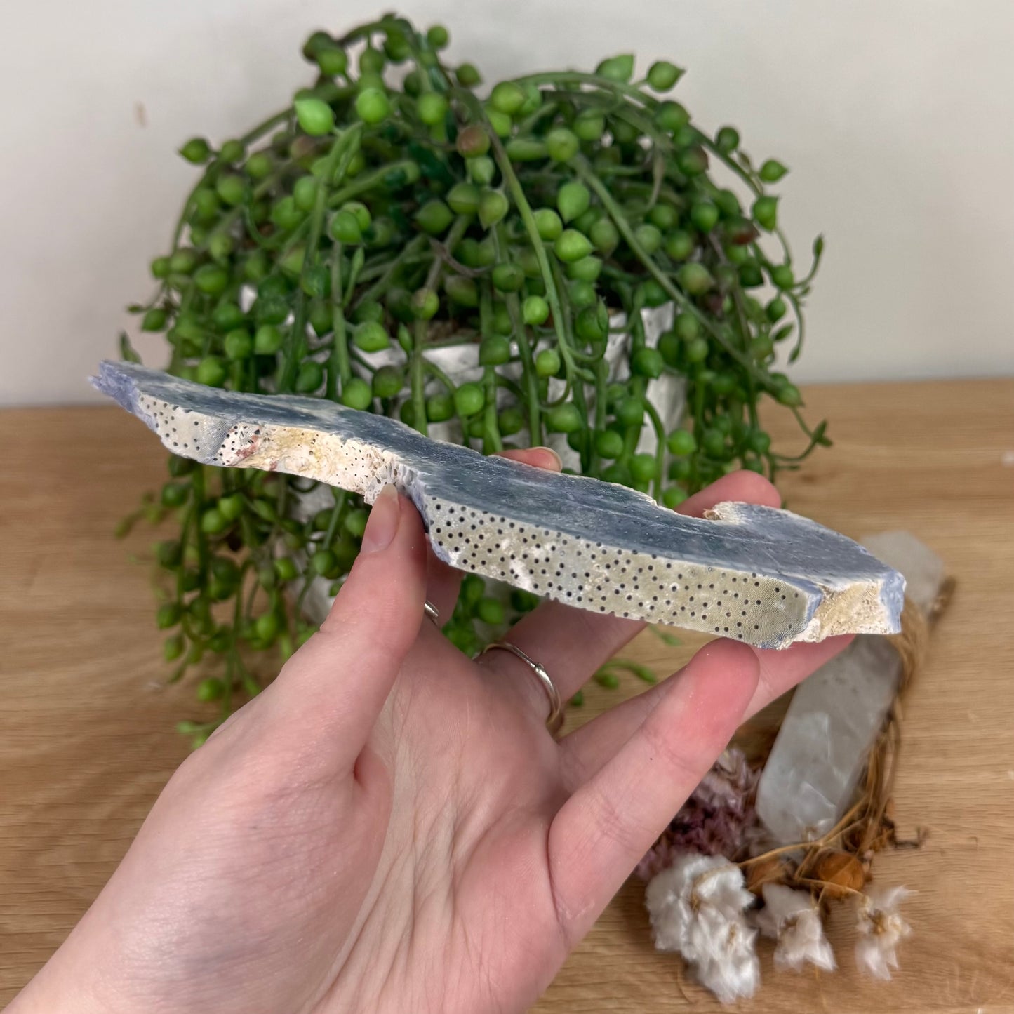 Blue Coral Slab (S603)