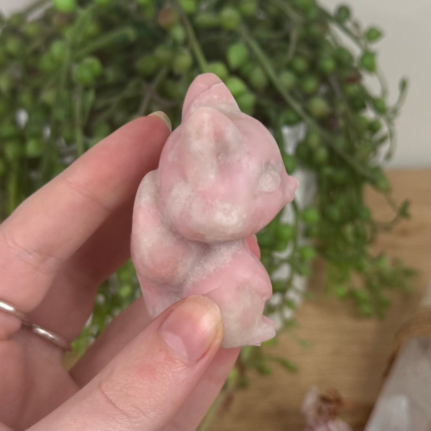 Pink Opal Cat (S558)