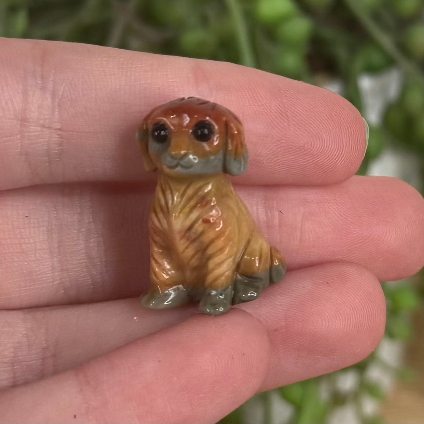 Alashan Small Dog 2