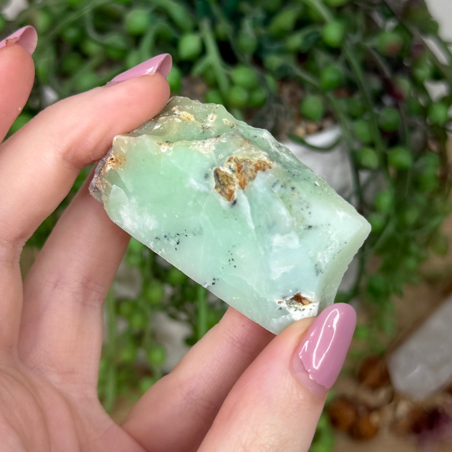 Chrysoprase Slab (Y819)