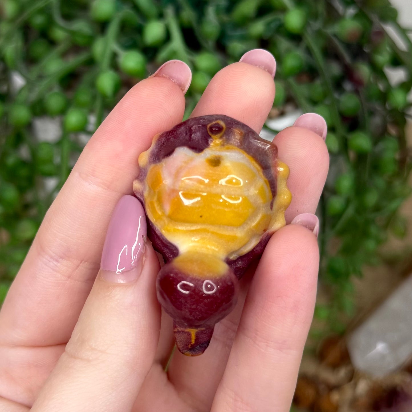 Mookaite Turtle Duck (Y866)