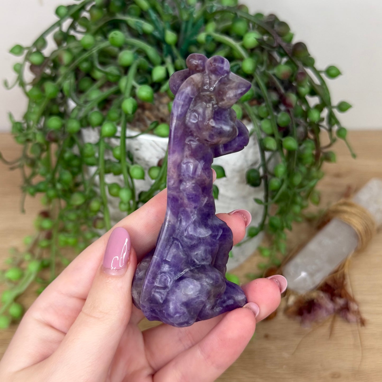 Dream Amethyst Giraffe (Y863)